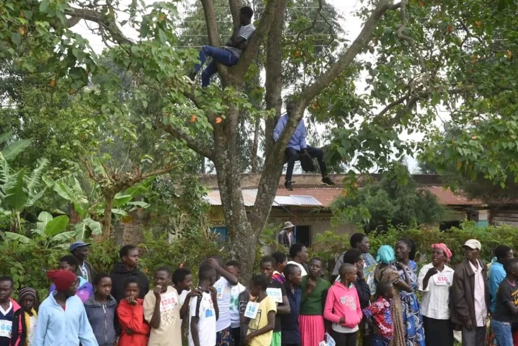 whatsapp image 2026 01 08 at 4.34.35 pm